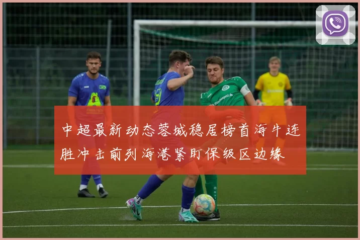 中超最新动态蓉城稳居榜首海牛连胜冲击前列海港紧盯保级区边缘